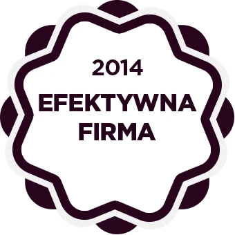 2014 Effective company